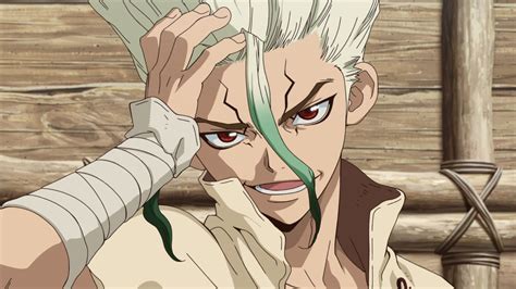 Dr. Stone.